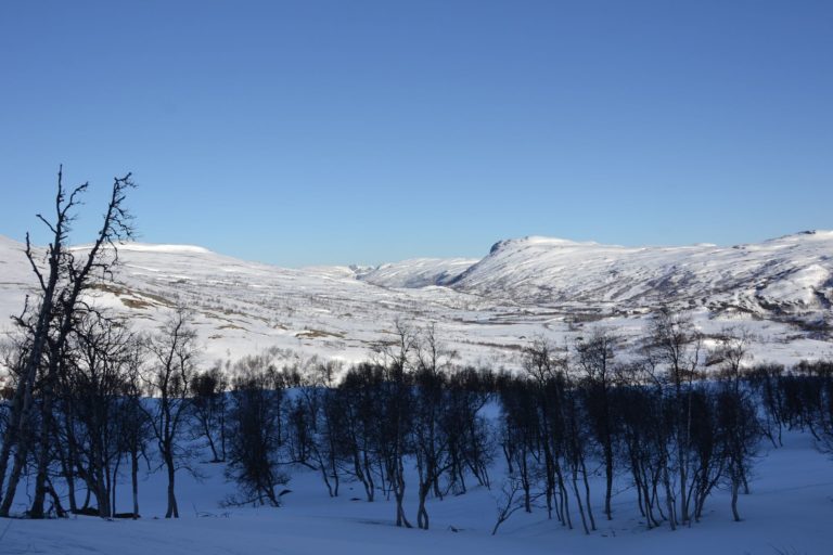 Norway0161