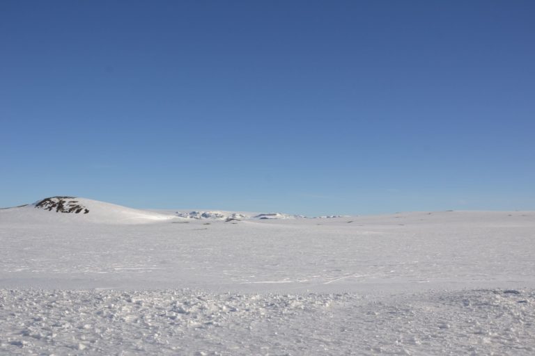 Norway0167