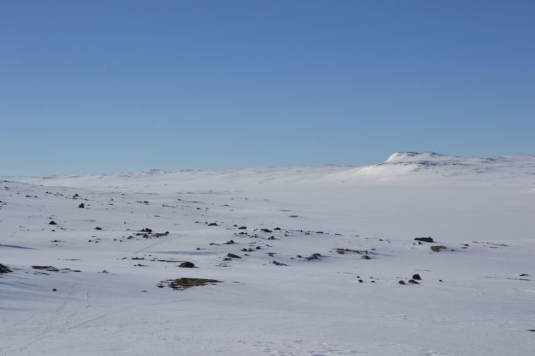 Norway0184