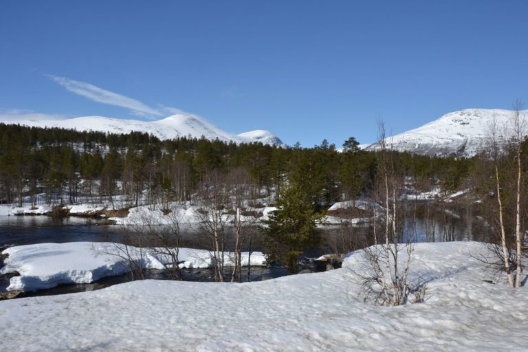 Norway0275