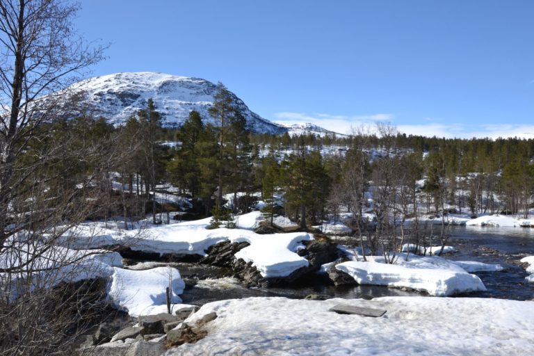 Norway0276