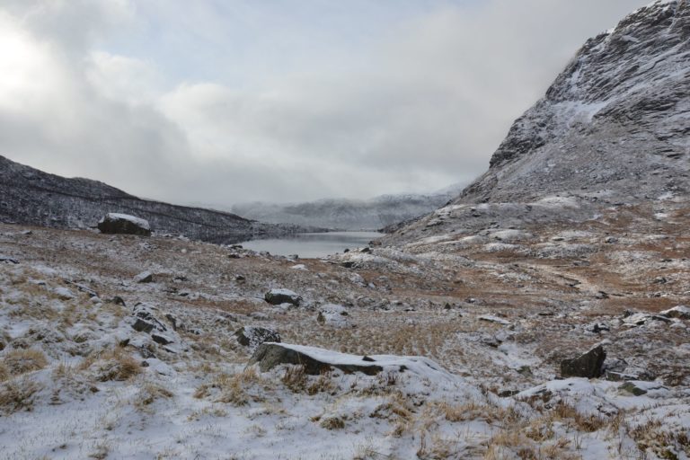 Norway0448