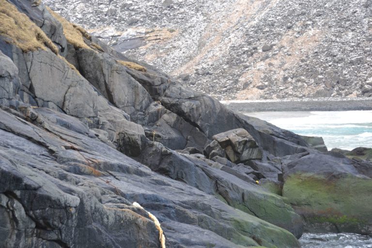 Norway0476