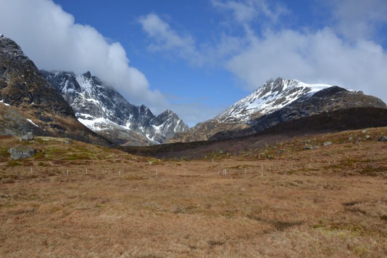 Norway0509