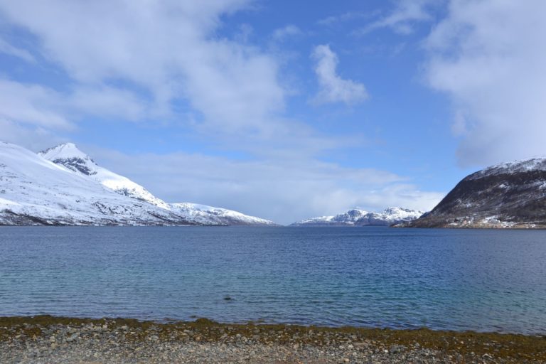 Norway0683
