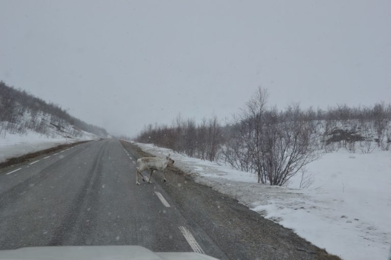 Norway0754