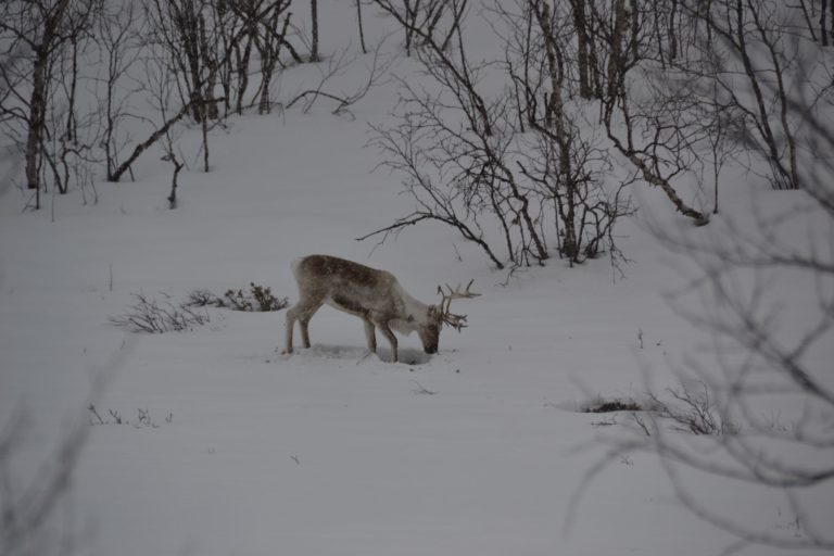 Norway0756