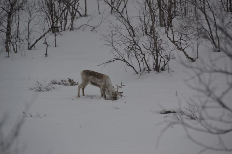 Norway0757