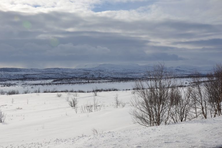 Norway0764