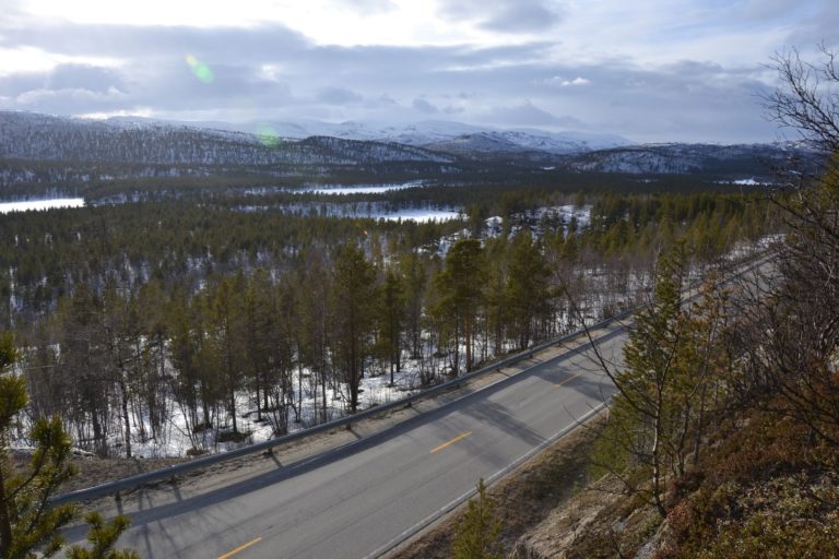 Norway0773