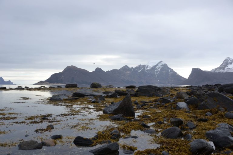 Norway1240