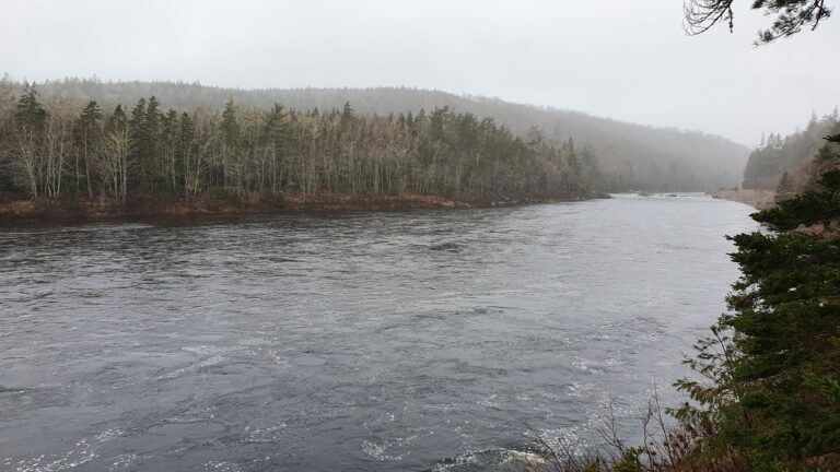 Image03