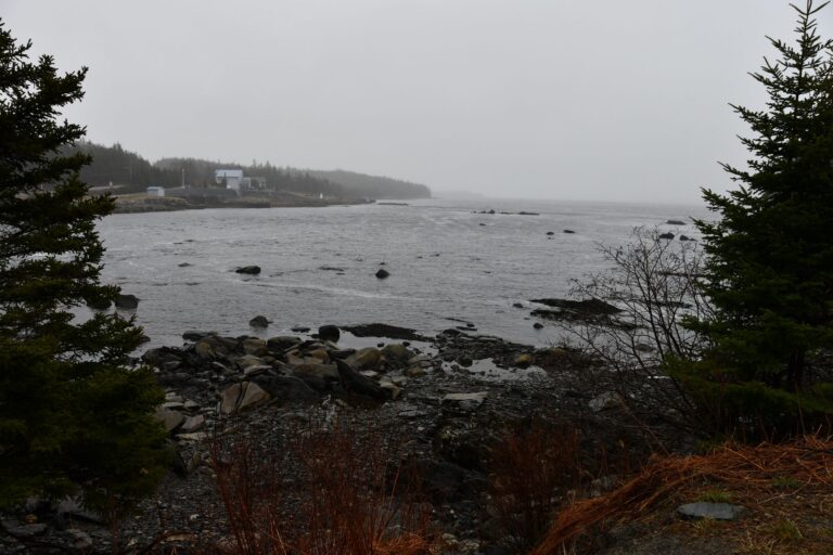 Image04