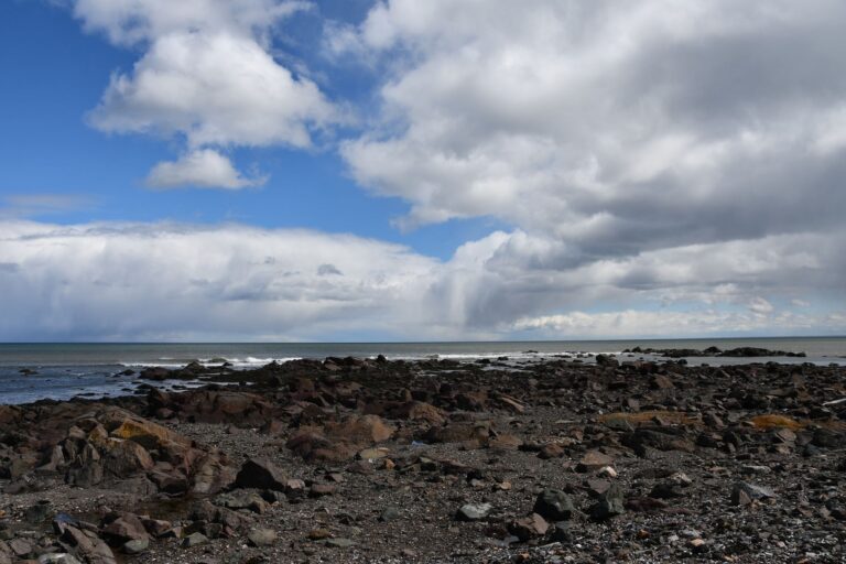 Image29