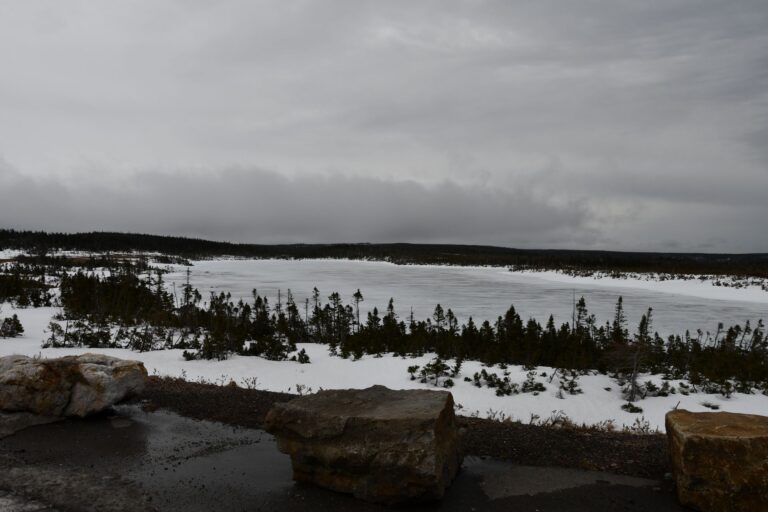 Image62