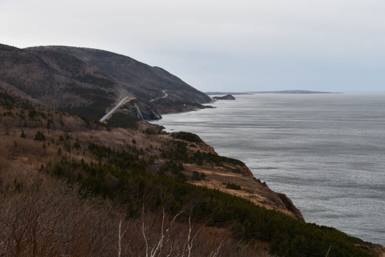 Image63