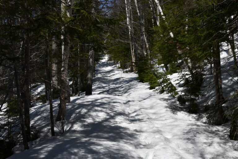 Quebec30