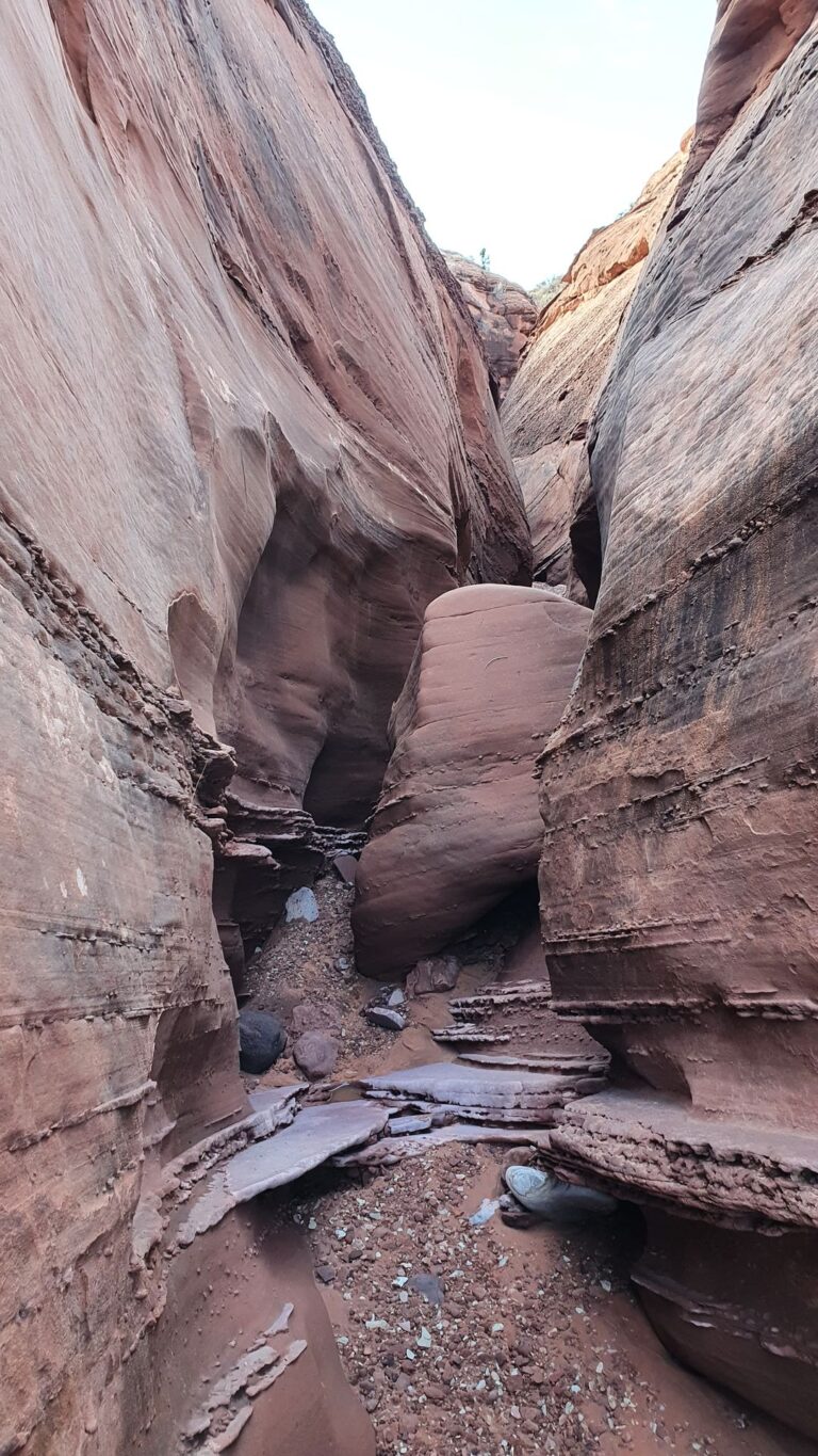 20221001_094408