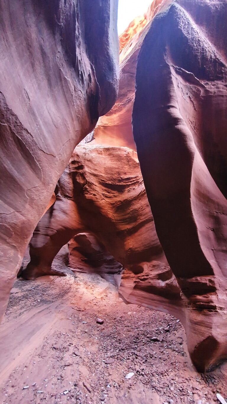 20221001_095609