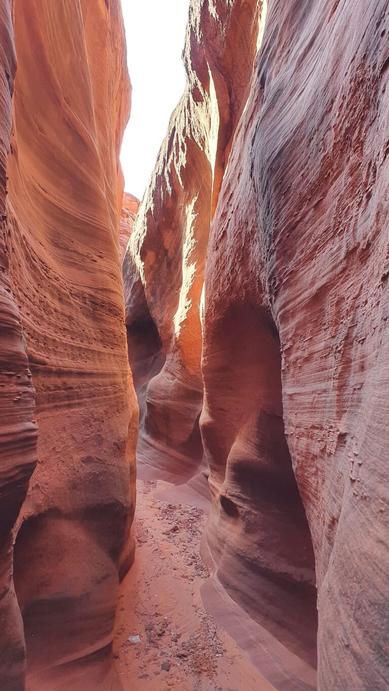 20221001_095725