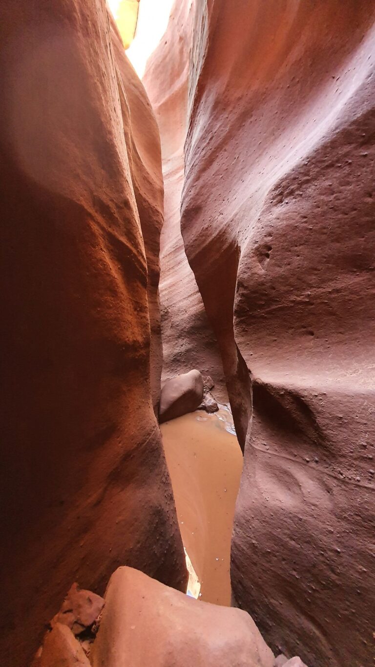 20221001_100904