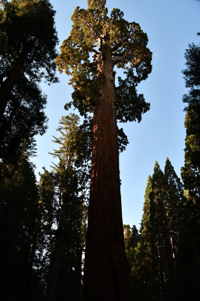 20221010_091913